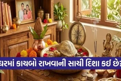 Vastu tips for tortoise
