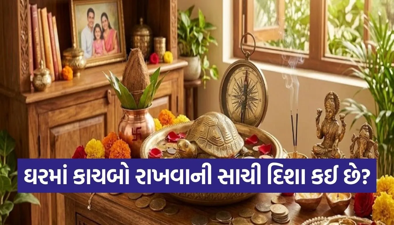 Vastu tips for tortoise