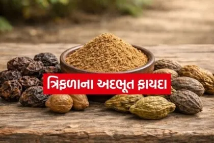 Triphala 3003