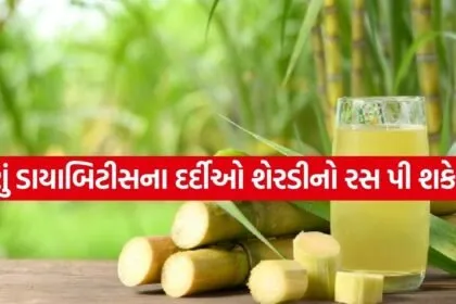 sugarcane juice 3003
