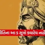 Vidur Niti