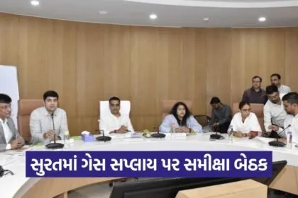 Surat Gas Supply Review Harsh Sanghvi Industry Meeting