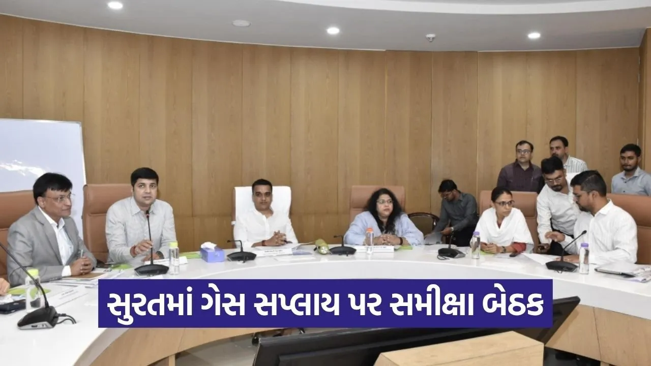 Surat Gas Supply Review Harsh Sanghvi Industry Meeting.jpg