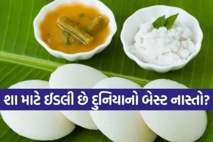 World Idli Day