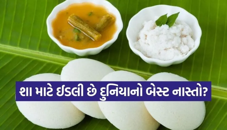 World Idli Day