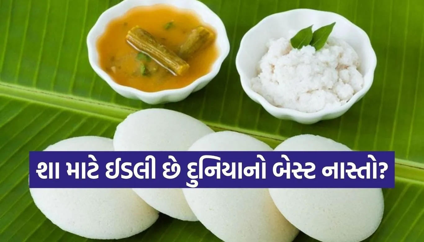 World Idli Day