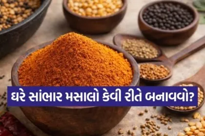 Sambar Masala