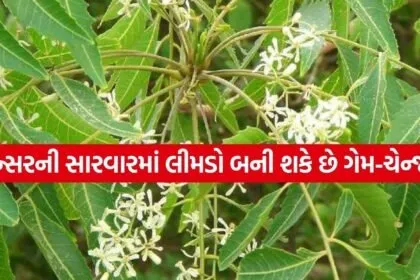 Neem 3003