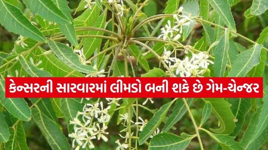 Neem 3003