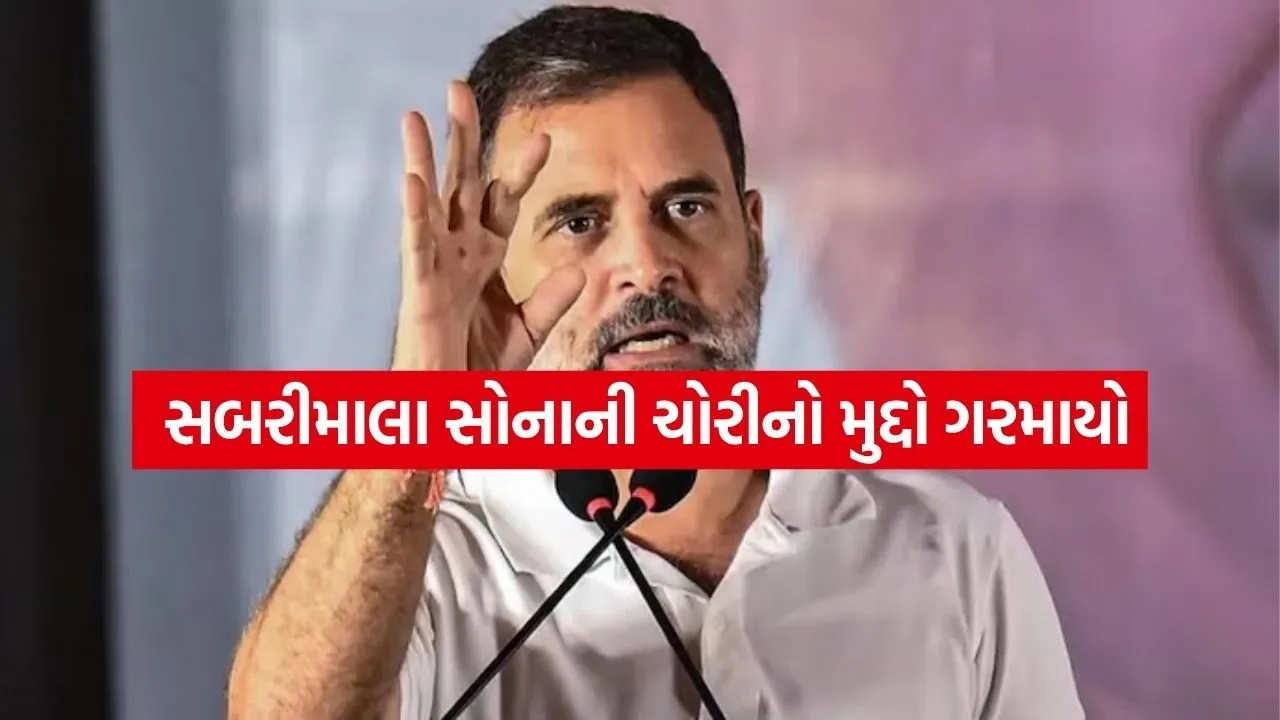 rahul gandhi 3003.jpg