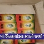 Surat Mangrol Illegal Pesticide Seizure Pipodara 1