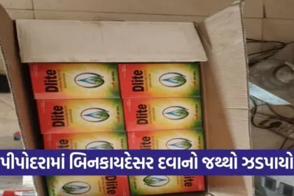 Surat Mangrol Illegal Pesticide Seizure Pipodara 1
