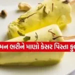 Kesar Pista Kulfi 3003
