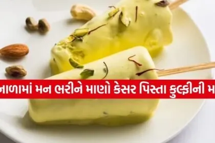 Kesar Pista Kulfi 3003
