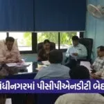 Gandhinagar PCPNDT Committee 1