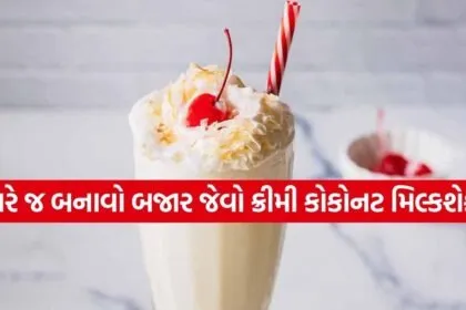 Coconut Milkshake 3003