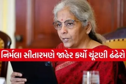 Nirmala Sitharaman 3003