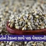 MSP Crop Procurement Bajra Jowar Maize Gujarat 1