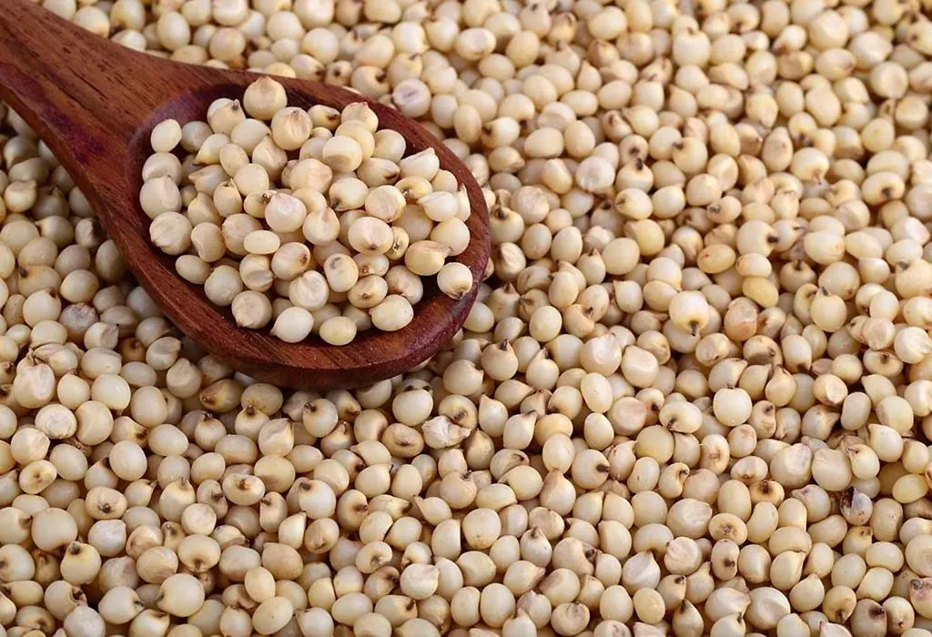 રાજ્ય સરકાર દ્વારા બાજરી, જુવાર અને મકાઈની MSP પર ખરીદી, ખેડૂતોને મળશે વધારાનો બોનસ લાભ 2 MSP Crop Procurement Bajra Jowar Maize Gujarat 2.png