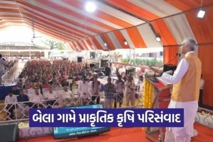 Natural Farming Conference Bela Village Devvrat Gujarat 1
