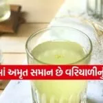 Fennel Sharbat