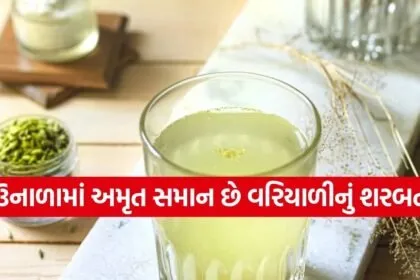 Fennel Sharbat