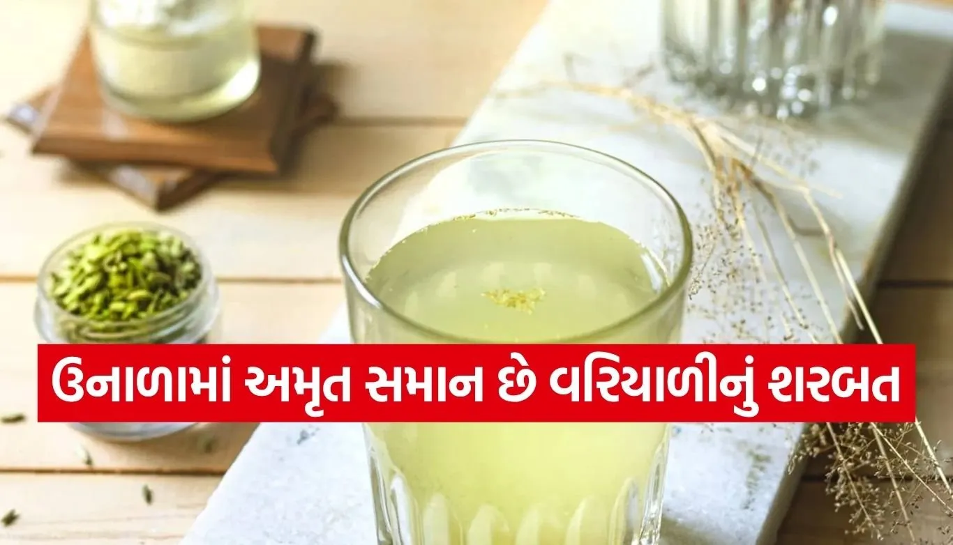 Fennel Sharbat