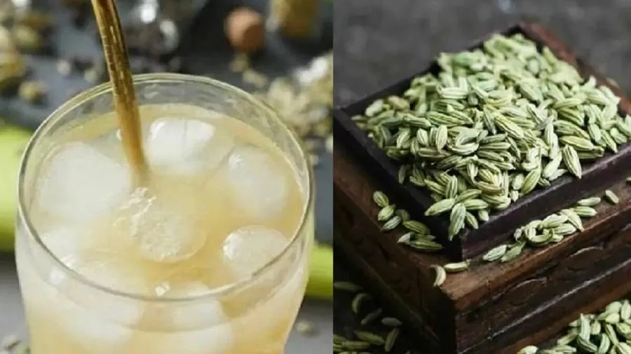પેટની બળતરા અને અપચો થશે ગાયબ, ઉનાળામાં વરિયાળીના શરબતના આ 5 ફાયદા જાણી લો 3 Fennel Sharbat