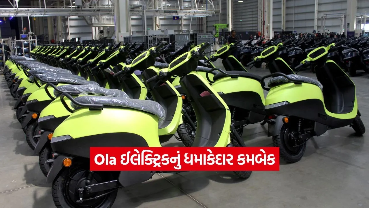 ola.jpg
