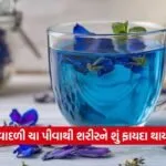 dharmishtha 1 8