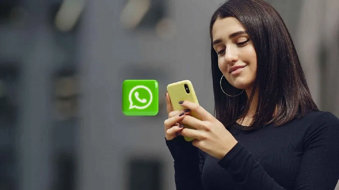 શું હવે WhatsApp વાપરવા માટે આપવા પડશે પૈસા? કંપનીએ લોન્ચ કર્યું 'WhatsApp Plus' 2 WhatsApp