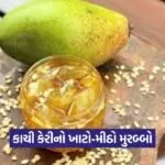 dharmishtha 1 23