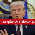 Trump 0204 1