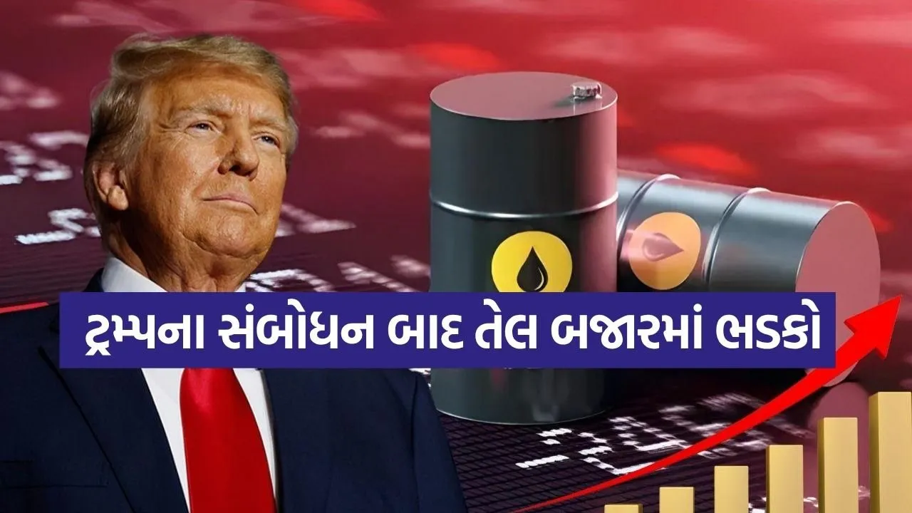 Trump 0204 2.jpg