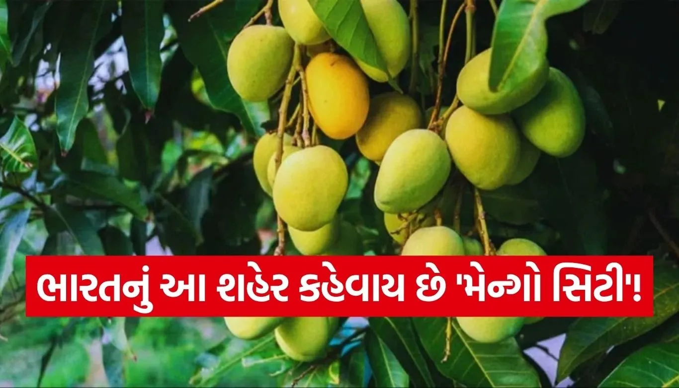 Mango City