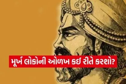 Vidur Niti