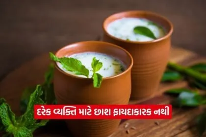 dharmishtha 1 11
