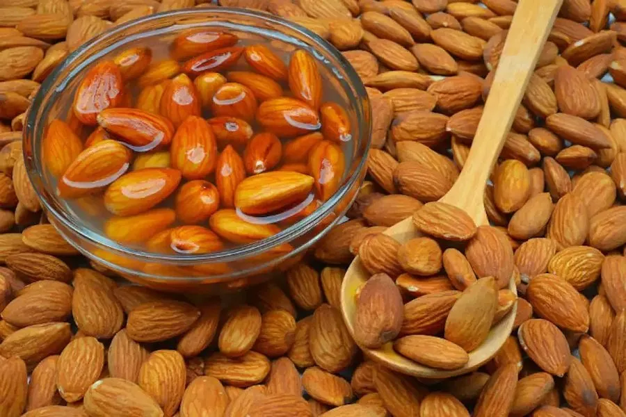 શું તમે ક્યારેય બાફેલી બદામ ખાધી છે? જાણો બ્લેન્ચ્ડ બદામના અદભૂત ફાયદા 3 badam1.jpg