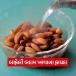 dharmishtha 1 13