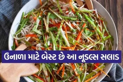 Cold noodle salad