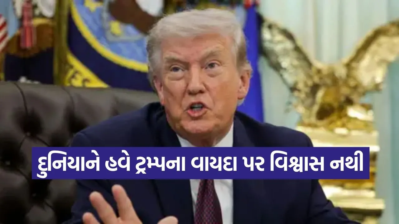 Trump 0204 3.jpg
