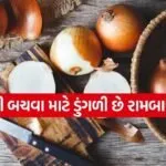 Onion 0304 1