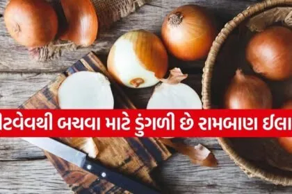Onion 0304 1