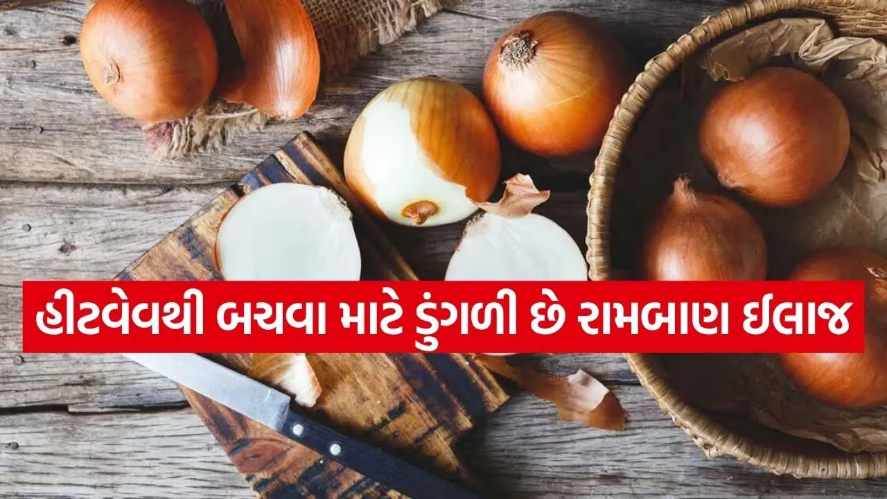 Onion 0304 1.jpg