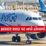 Indigo 0304