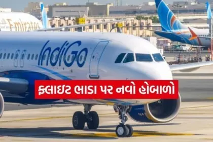 Indigo 0304