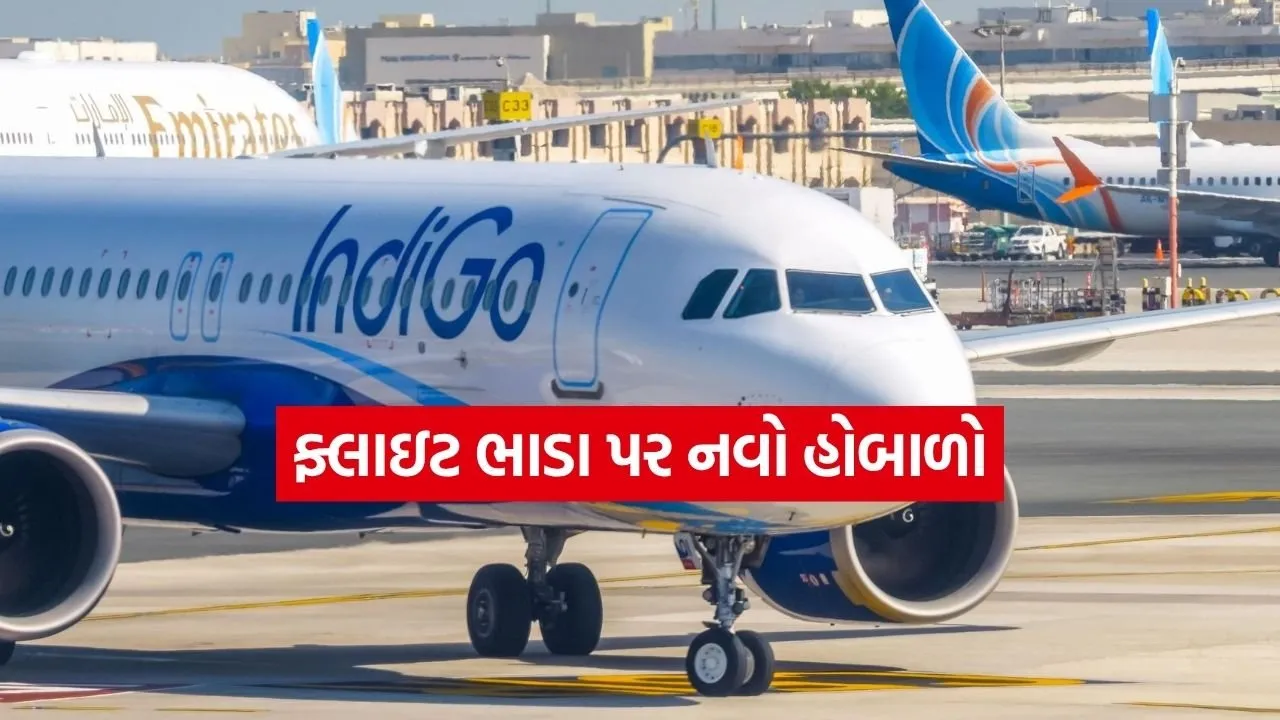 Indigo 0304.jpg