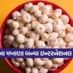 dharmishtha 1 17