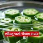 Dharmishtha 19