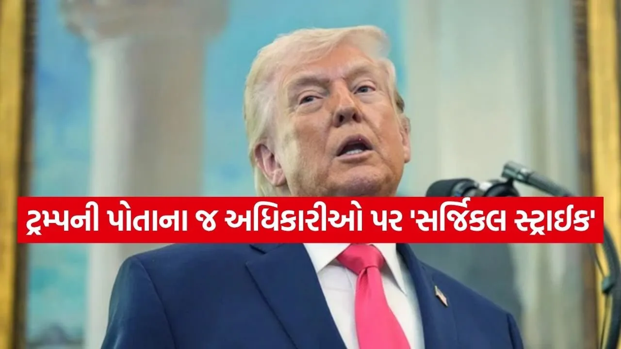 trump 0304.jpg